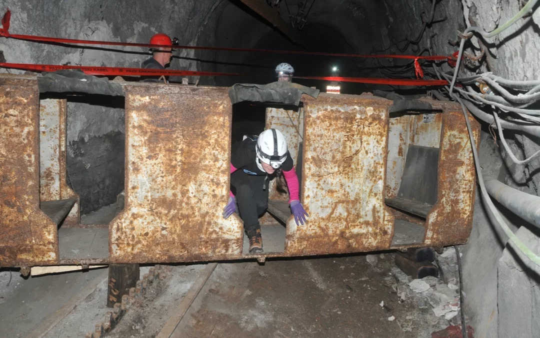 Več jamatlonk kot jamatloncev