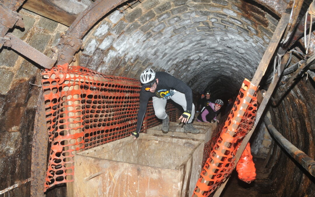 Jamatlonk več kot jamatloncev