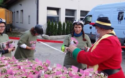 Na Punce v jami po znižani ceni